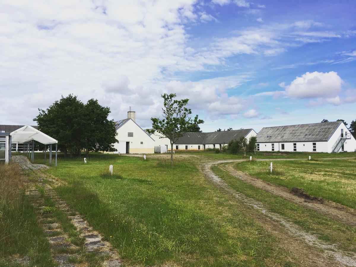 Hotel Hvideklit Ålbæk Eksteriør bilde